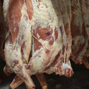 Бычки в п/т(180+)