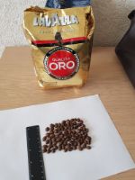 Кофе в зернах Lfvazza oro