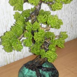 Бонсай на гипсовой подставке ( 20-23см ). 