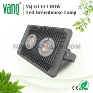 Фитопрожектор VANQ 100вт, идеальное решение освещения для вашей теплицы!