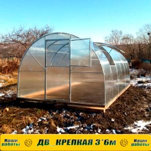теплица ДВ Крепкая 3х6м