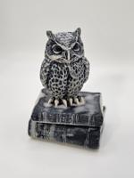 Сова на двух книгах so02