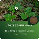 Земляники экстракт сухой https://www.altai-extracts.ru/extract-zemlyaniki