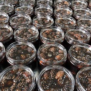 Дары Югры: производство, варенье из молодых сосновых шишек.