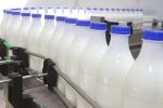молочная продукция и полуфабрикаты