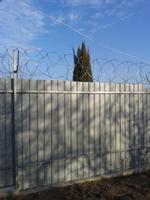 Егоза Колючая проволока СББ егоза 500/5