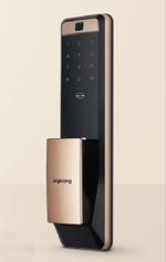 Умный замок Zigbang SHP-P72