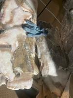 Камбала ерш летний