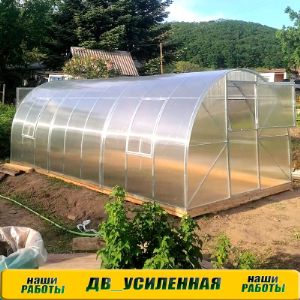 теплица ДВ Усиленная 3х6м