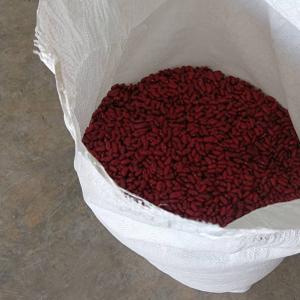 Фасоль красная Томатка