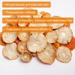 мухомор красный оптом в Москве