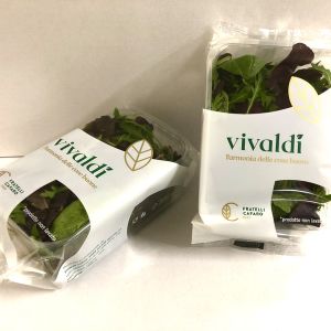 MIX BRAND VIVALDI