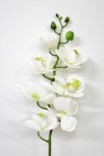 Орхидея Фаленопсис 76 см.