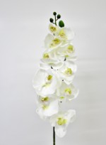 Орхидея Фаленопсис 102 см.