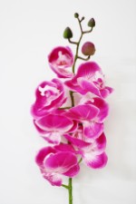 Орхидея Фаленопсис 76 см.
