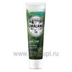 Корейская зубная паста премиум Освежающая мята Kerasys Smaland Forest Fresh Mint 100 гр