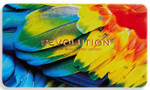 Makeup Revolution - Палетка теней Forever Flawless Bird of Paradise, 19.8 г