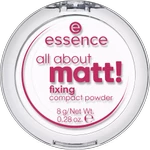 Essence - Пудра компактная all about matt! fixing compact powder, прозрачная, 8 г