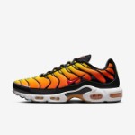 Кроссовки Nike Air Max Plus