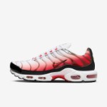 Кроссовки Nike Air Max Plus