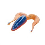 Лягушка Helios Frog 2,56”/6,5 см, цвет Star Blue &amp; Orange 7 шт HS-21-044
