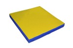 Мат гимнастический 1x1 Высота: 0,1м; Синий
/ Желтый