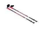 Палки для скандинавской ходьбы Ecos - AQD-B012B
Цвет: Красный / Черный (999880)