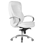 Офисное кресло для руководителей ALBA SOLAR s80-03