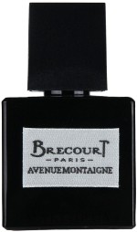 Brecourt Avenue Montaigne