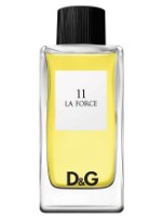 Dolce &amp; Gabbana 11 La Force