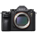 Цифровой фотоаппарат Sony Alpha A9 Body (ILCE-9)