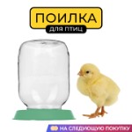 Поилка для птиц Yoma Home, вакуумная, под стеклянную банку, для животных, для цыплят, пластиковая, зеленая, код НФ-00002948