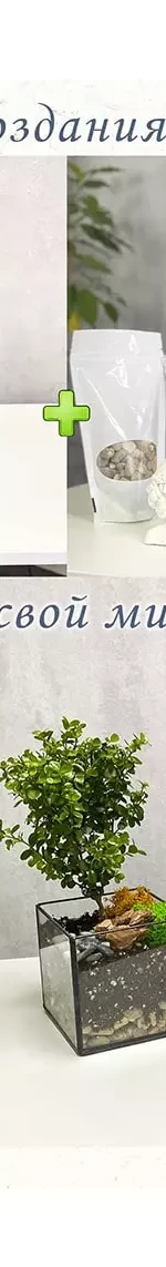 Набор для создания флорариума: форма Квадрат S, маленький