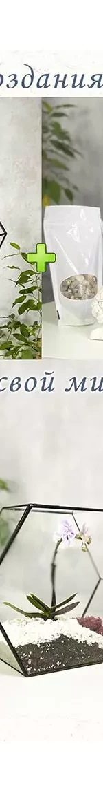 Набор для создания флорариума: форма Гексагон