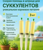 Скорая помощь для суккулентов