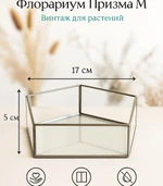 Стеклянный флорариум Призма M серия серебрити