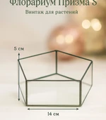 Стеклянный флорариум Призма S