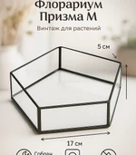 Стеклянный флорариум Призма M