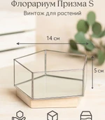 Стеклянный флорариум Призма S серия серебрити