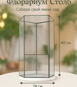 Стеклянная ваза для флорариума “Столб”