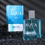 Туалетная вода мужская Absolute Aqua, 100 мл (по мотивам Acqua Di Gio (G.Armani)