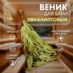 Веник для бани 53 (+-2) см эвкалиптовый