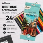 Карандаши акварельные 24 цвета, заточенные, в картонной коробке