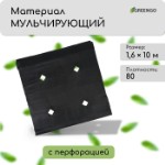 Материал мульчирующий, с перфорацией, 10 × 1,6 м, плотность 80 г/м², спанбонд с УФ-стабилизатором, чёрный, Greengo, Эконом 30%