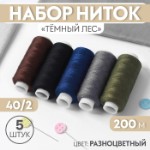 Набор ниток «Тёмный лес», 40⁄2, 200 м, 5 шт, цвет разноцветный