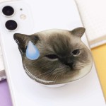 Попсокет “Sad cat”