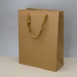 Пакет подарочный (L) “Craft” (38*29*12.5)