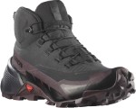 Ботинки Salomon CROSS HIKE MID GTX 2