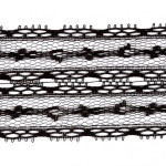 Kruzhevo Кружево-трикотаж арт.TBY 741-2B шир.50мм цв.черный уп.45,7м TBY.741.2B.ЧЕРНЫЙ