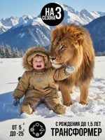 Комбинезон-конверт “Трансформер”, Золотой орех, 163шм/2